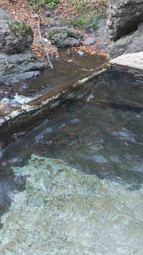 عکس آب گرم مشه سویی