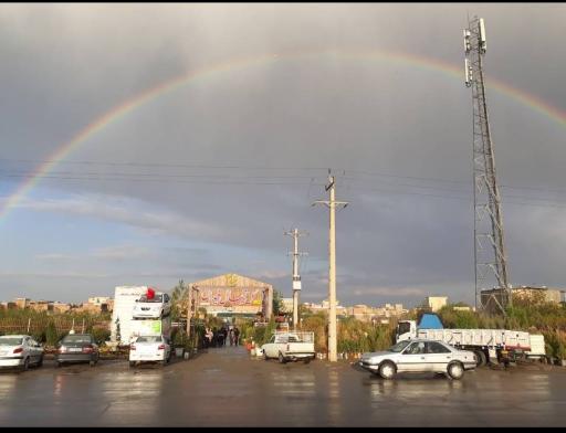 عکس گل و گیاه فیدان