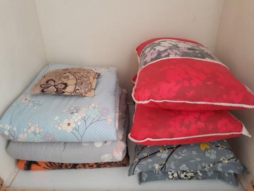 عکس ویلای یک خوابه رادمرد