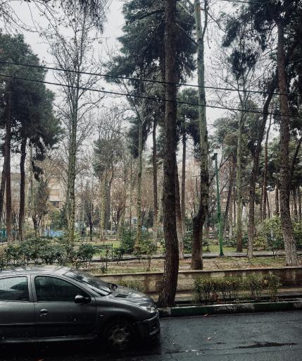 عکس بوستان اردکانی
