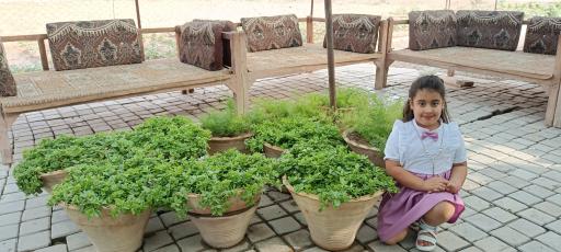 عکس ماهی کبابی کلبه