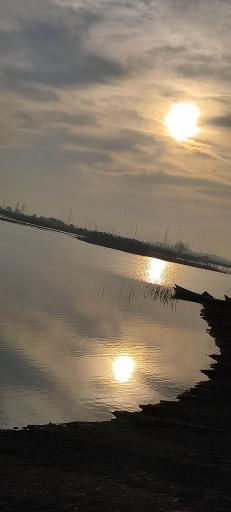 عکس تالاب نیلوفر رودبست