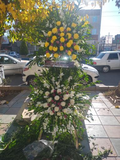 عکس گل فروشی نرگس