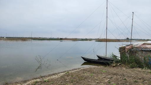 عکس تالاب نیلوفر رودبست