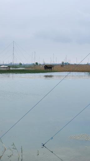 عکس تالاب نیلوفر رودبست