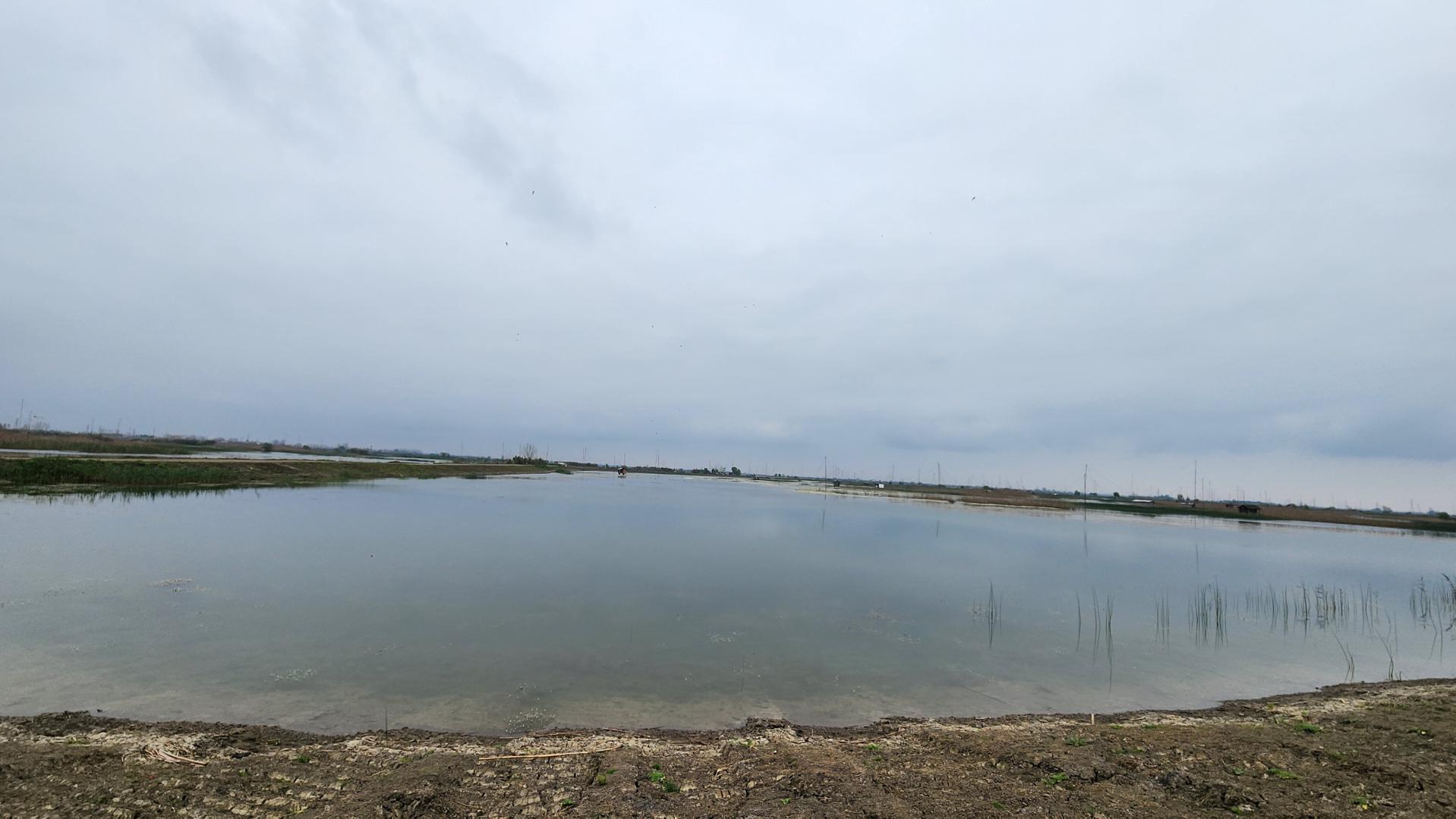 عکس تالاب نیلوفر رودبست