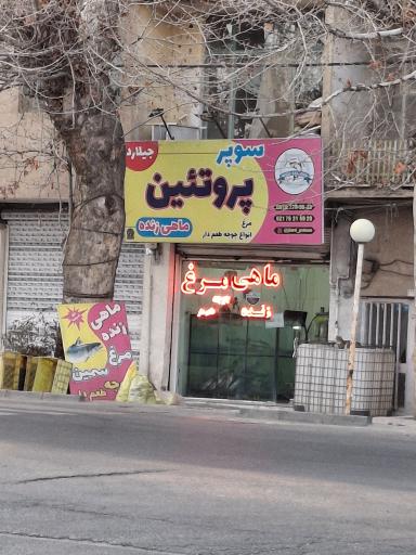 عکس پروتئین جیلارد