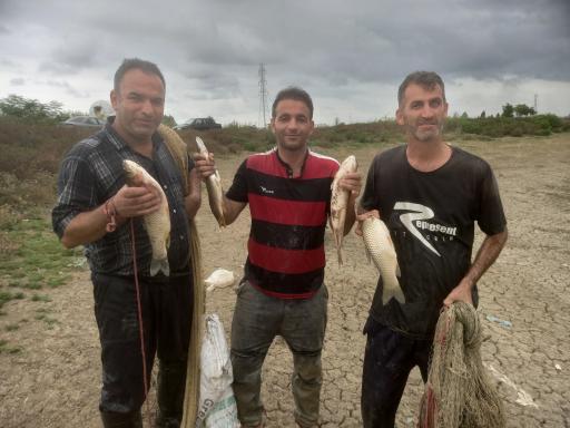 عکس تالاب نیلوفر رودبست