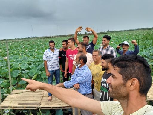 عکس تالاب نیلوفر رودبست