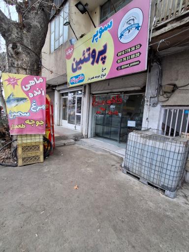عکس پروتئین جیلارد