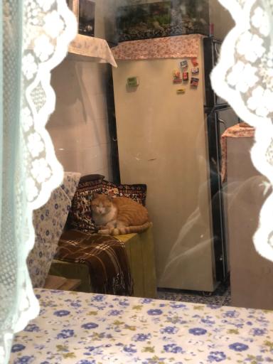 عکس کافه کوله پیسکی 