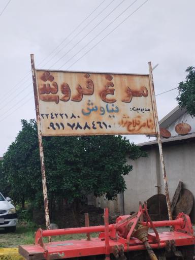 عکس مرغ فروشی نیاوش 