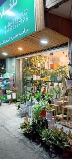 عکس گلخانه دست خدا