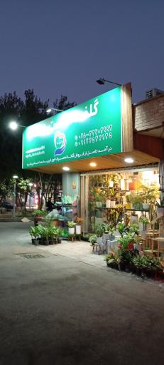 عکس گلخانه دست خدا