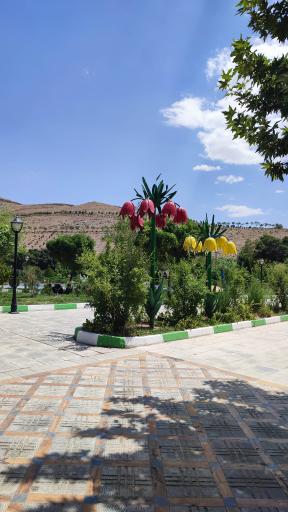 عکس پارک عسل