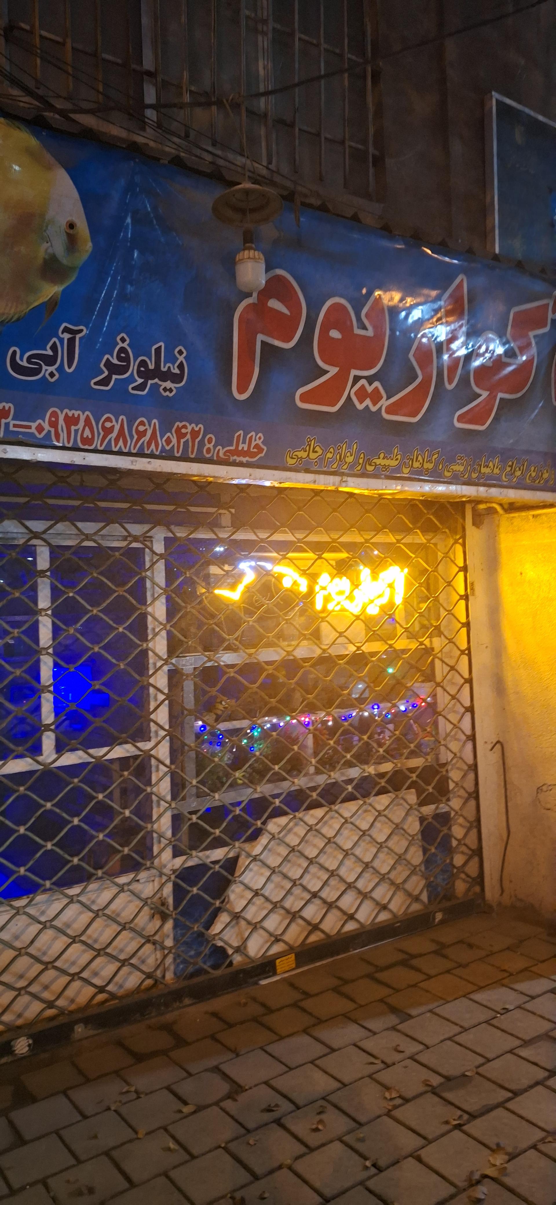 عکس آکواریوم نیلوفر آبی