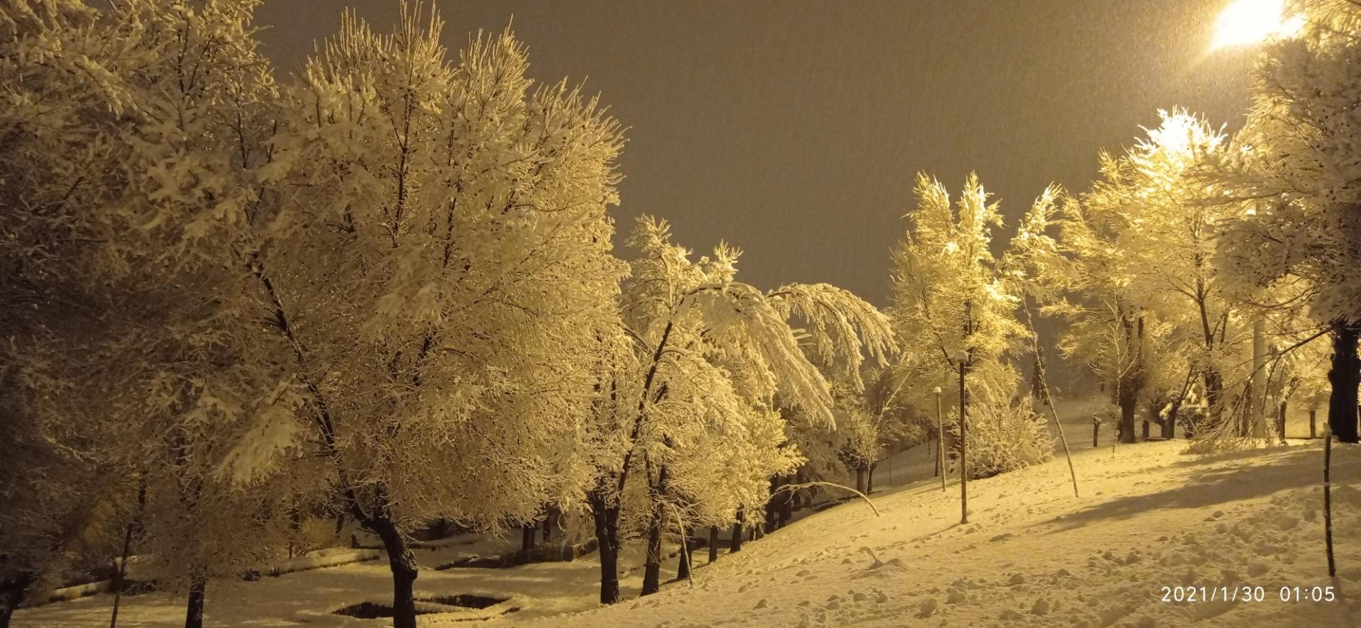 عکس پارک سیمرغ