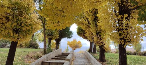 عکس پارک سیمرغ