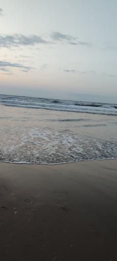 ساحل فریدونکنار