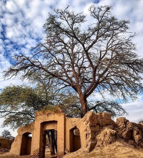 عکس جوزقان