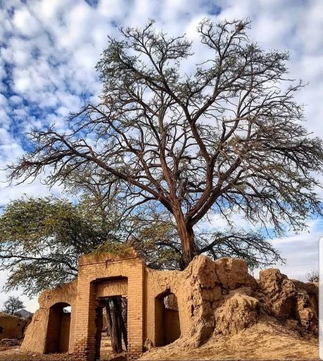 جوزقان