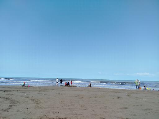 عکس ساحل فریدونکنار