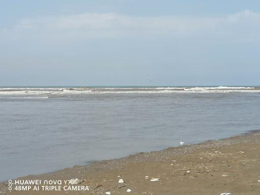 عکس ساحل فریدونکنار