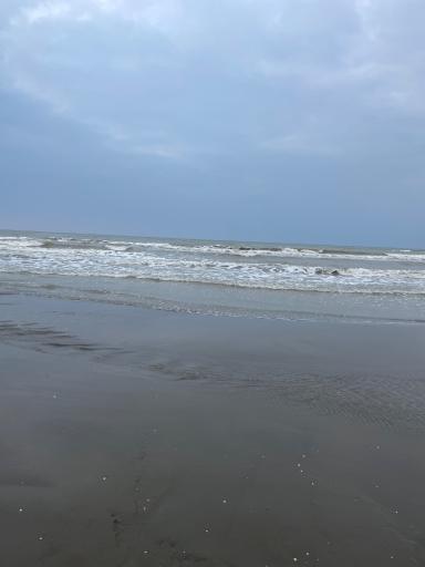 عکس ساحل فریدونکنار