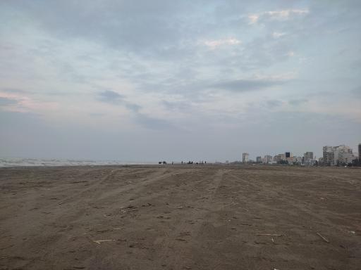 عکس ساحل فریدونکنار