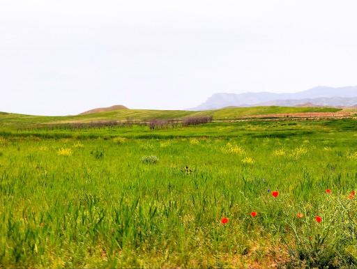 عکس جوزقان