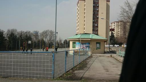 عکس زمین اسکیت