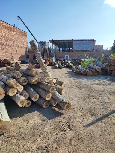 عکس چوب بری یادگاری