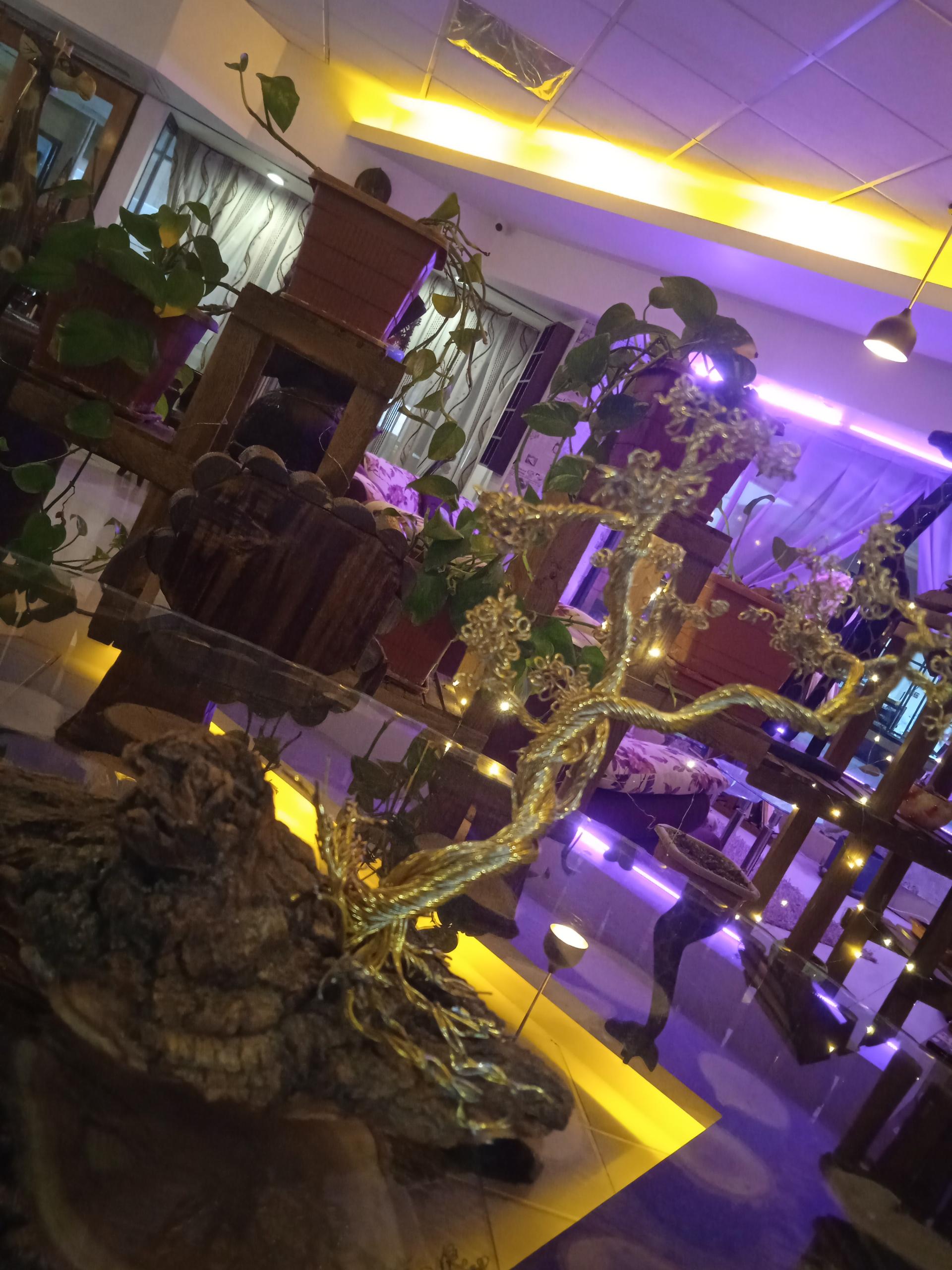 عکس کافه رستوران ترمه