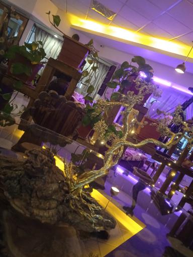 عکس کافه رستوران ترمه