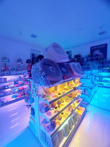 عکس فروشگاه دهکده حیوانات