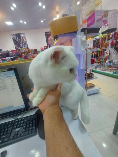 عکس فروشگاه دهکده حیوانات