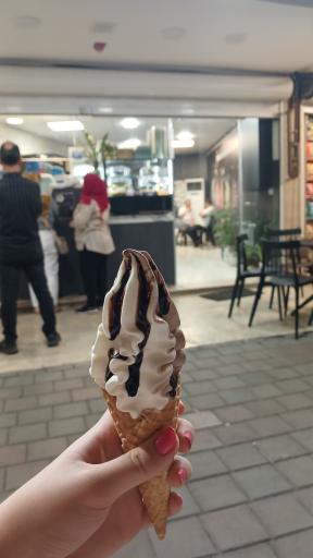 بستنی فردین شعبه سرگل