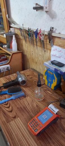 عکس پیرایش اشترانکوه