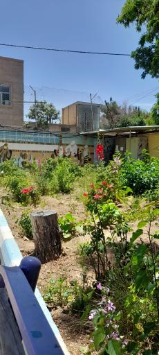 عکس هنرستان کارودانش دخترانه ساعی