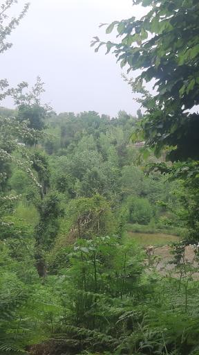 عکس دریاچه اشکجان پهلو