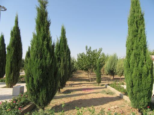 عکس بوستان سهراب سپهری