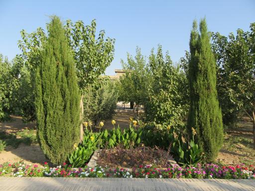 عکس بوستان سهراب سپهری