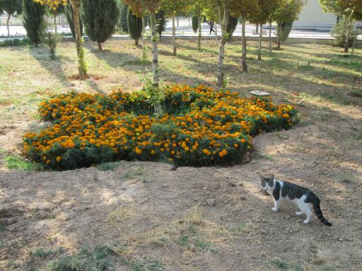 بوستان سهراب سپهری