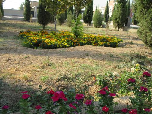 عکس بوستان سهراب سپهری