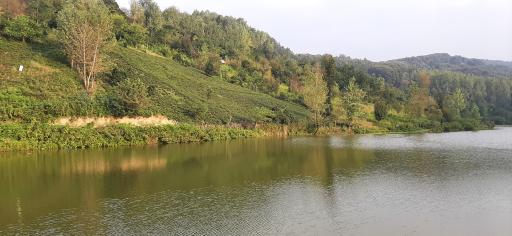 عکس دریاچه اشکجان پهلو