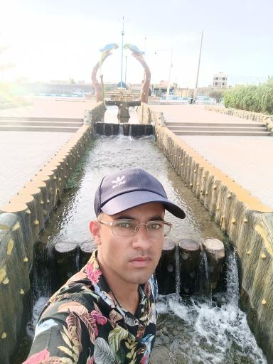 پارک بزرگ شهر (مارکار)