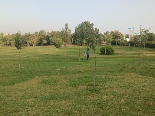 عکس پارک بزرگ شهر (مارکار)