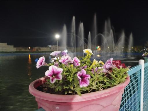 عکس پارک بزرگ شهر (مارکار)