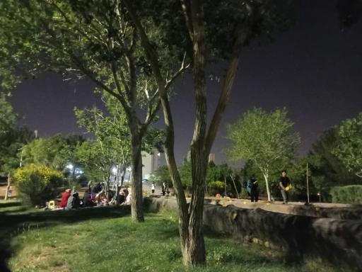 پارک بزرگ شهر (مارکار)