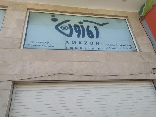 عکس آکواریوم آمازون